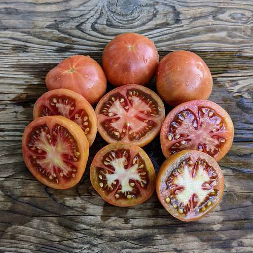 Raspberry Mochi Tomato