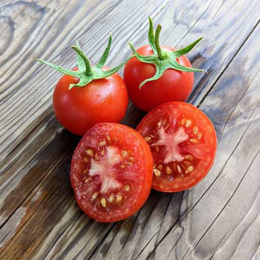 Rhode Island Tomato