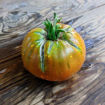 Carol Chyko's Big Paste Beefsteak Tomato