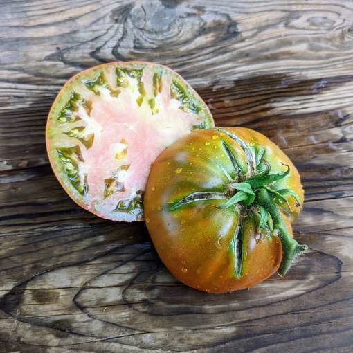 Carol Chyko's Big Paste Beefsteak Tomato