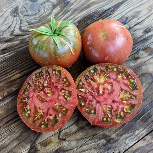 Black Bear Tomato