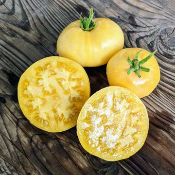 Captain Lucky White Tomato Captain Lucky White Tomato