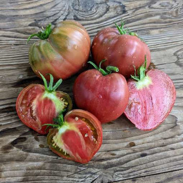 Cherokee Purple Heart Tomato Cherokee Purple Heart Tomato