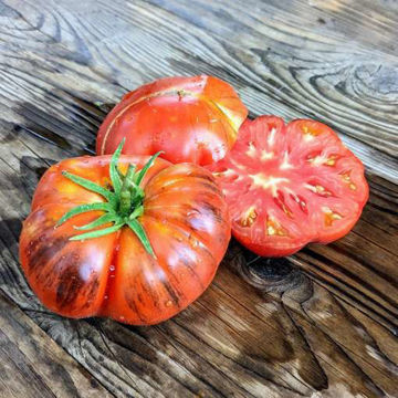 Galaktion Tomato Galaktion Tomato