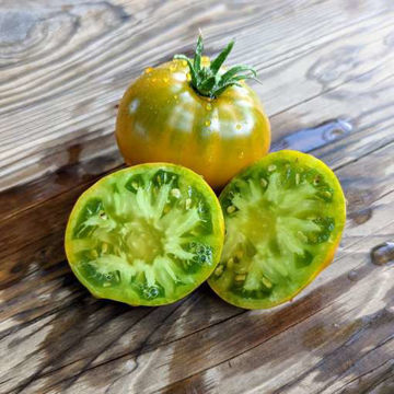Green Moldovan Tomato Green Moldovan Tomato