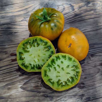 Grubbs Mystery Green Tomato Grubbs Mystery Green Tomato