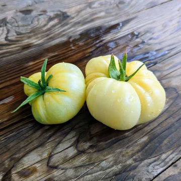 Halfmoon China Tomato Halfmoon China Tomato