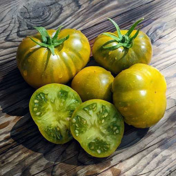 Kiwi Tomato Kiwi Tomato