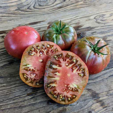 Lila Sari Tomato Lila Sari Tomato