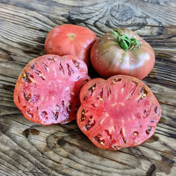 Midnight in Moscow Tomato Midnight in Moscow Tomato
