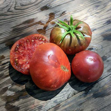 Owens Purple Tomato Owens Purple Tomato