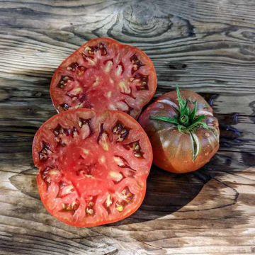 Red Ocean Tomato Red Ocean Tomato