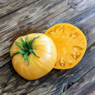 Barnes Mountain Beefsteak Tomato Barnes Mountain Beefsteak Tomato