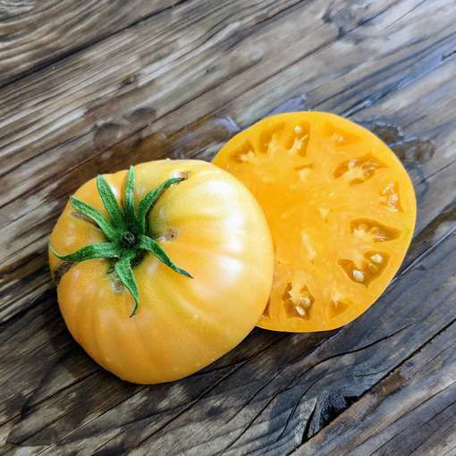 Barnes Mountain Beefsteak Tomato