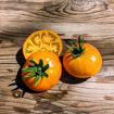 Big Orange Beefsteak Tomato