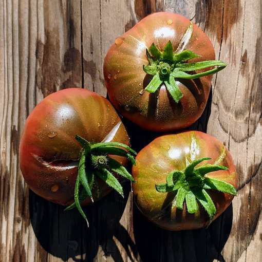 Black Magic Beefsteak Tomato