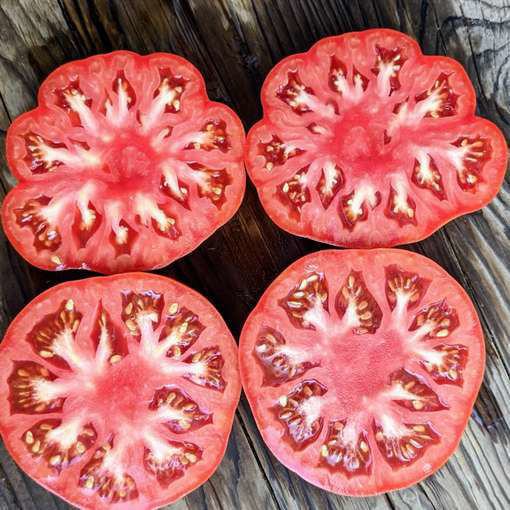 Brandywine OTV Beefsteak Tomato