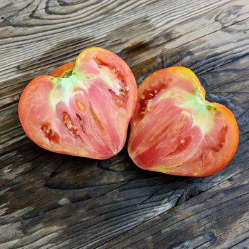 Ernesto Beefsteak Tomato Ernesto Beefsteak Tomato