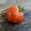 Ernesto Beefsteak Tomato