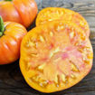 Gold Medal Beefsteak Tomato