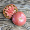 JD´s Special C-Tex Beefsteak Tomato