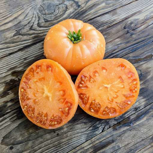 Jumbo Jim Orange Beefsteak Tomato