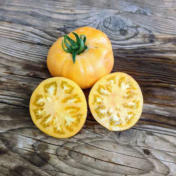 Marzipan Gold Beefsteak Tomato Marzipan Gold Beefsteak Tomato