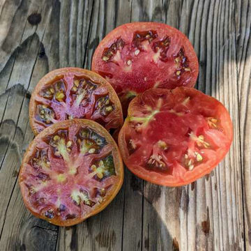 Noire Charbonneuse Beefsteak Tomato Noire Charbonneuse Beefsteak Tomato