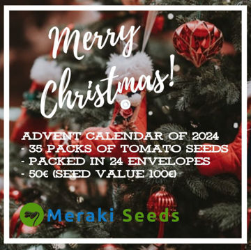 Show details for Advent Calendar of 2024 Picture of Advent Calendar of 2024