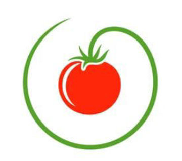 Golden King of Siberia Tomato Golden King of Siberia Tomato