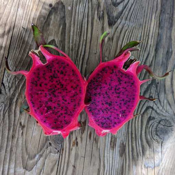 Royal Red Dragon Fruit - Seeds Royal Red Dragon Fruit - Seeds