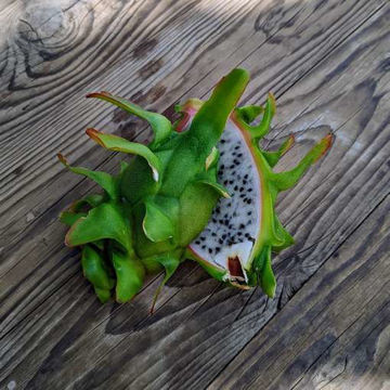 Bruni Dragon Fruit - Seeds Bruni Dragon Fruit - Seeds