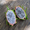 Bruni Dragon Fruit - Seeds