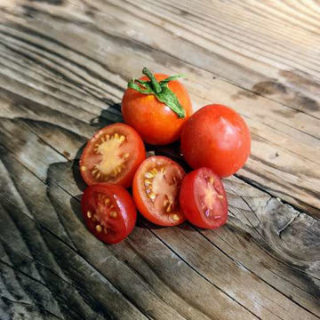 Enchanting Cascade Tomato Enchanting Cascade Tomato