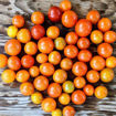 Micro Cherry Tomato