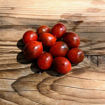 Cherry Tomato Brown Oval F3 Micro Dwarf Tomato