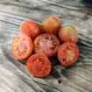 Fuzzy Baby Micro Dwarf Tomato