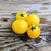 Gourmandise Yellow Micro Dwarf Tomato