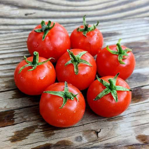 Hupsi Micro Dwarf Tomato