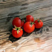 Hupsi Micro Dwarf Tomato