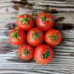 Hupsi Micro Dwarf Tomato