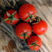 Hupsi Micro Dwarf Tomato