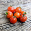 Little Mo Micro Dwarf Tomato