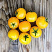 Little Moon Micro Dwarf Tomato