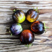 Micro Mars Micro Dwarf Tomato