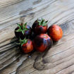 Micro Mars Micro Dwarf Tomato