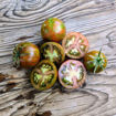 Pa´s Pride Micro Dwarf Tomato