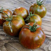 Pa´s Pride Micro Dwarf Tomato