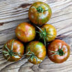 Pa´s Pride Micro Dwarf Tomato