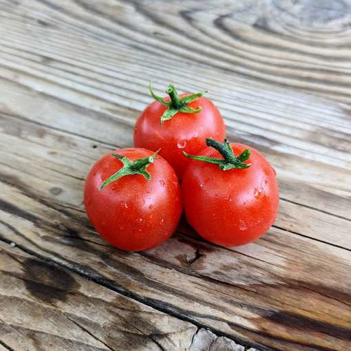 Raspberry Ruffles Micro Dwarf Tomato